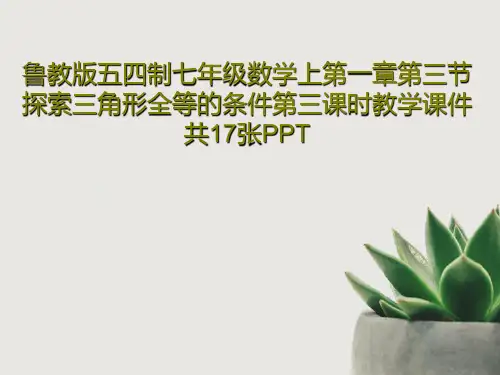 鲁教版五四制七年级数学上第一章第三节探索三角形全等的条件第三课时教学课件共17张PPT共19页文档