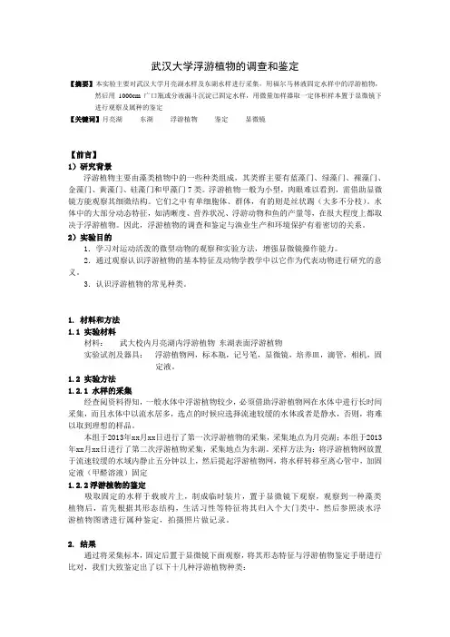 浮游植物的调查与鉴定