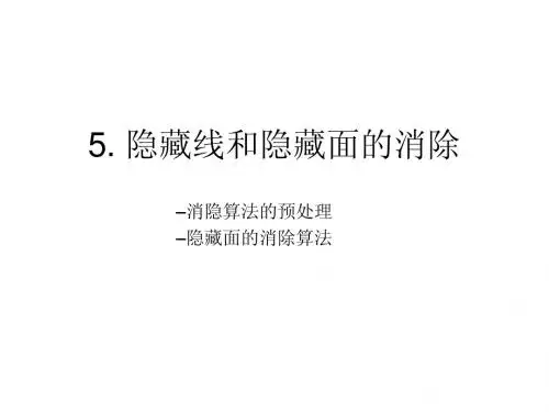 5消隐面