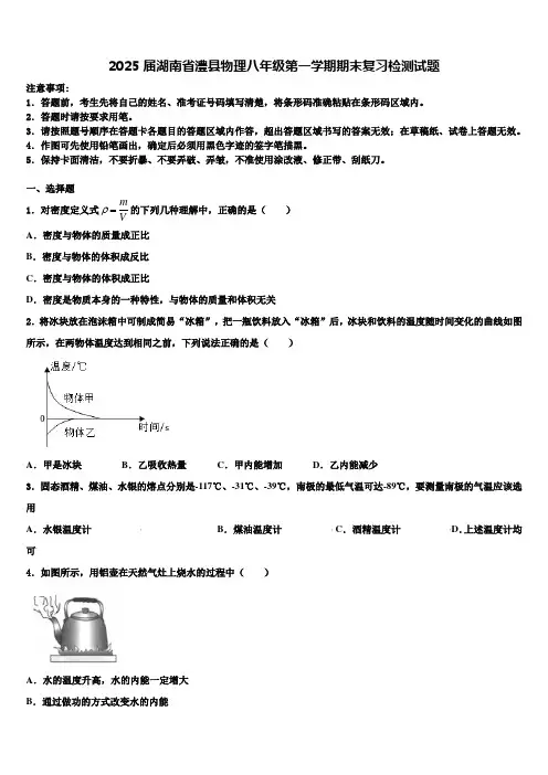 2025届湖南省澧县物理八年级第一学期期末复习检测试题含解析