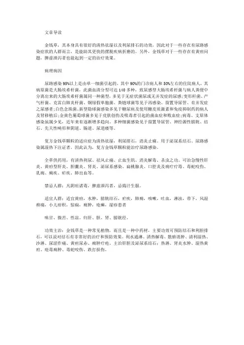生活养生-金钱草治疗尿路感染