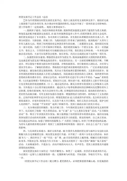 村团支部书记工作总结