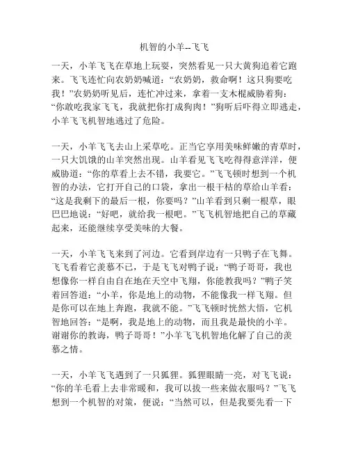 机智的小羊--飞飞