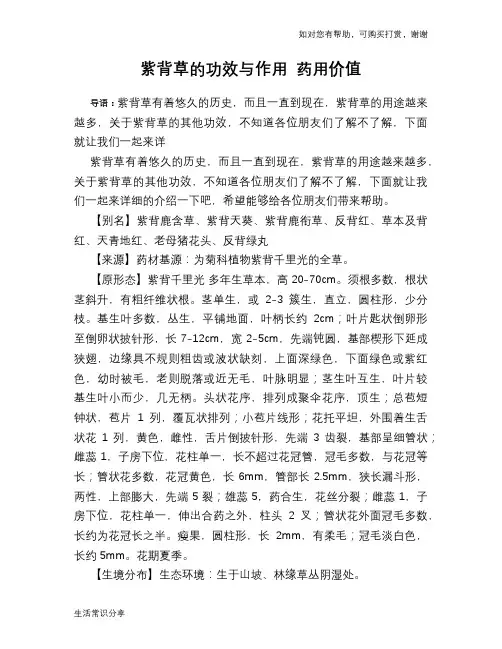 紫背草的功效与作用 药用价值