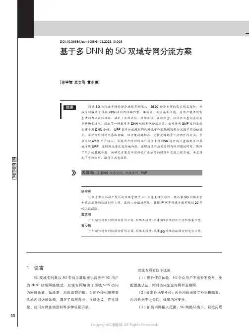 基于多DNN的5G双域专网分流方案