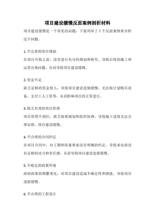 项目建设缓慢反面案例剖析材料
