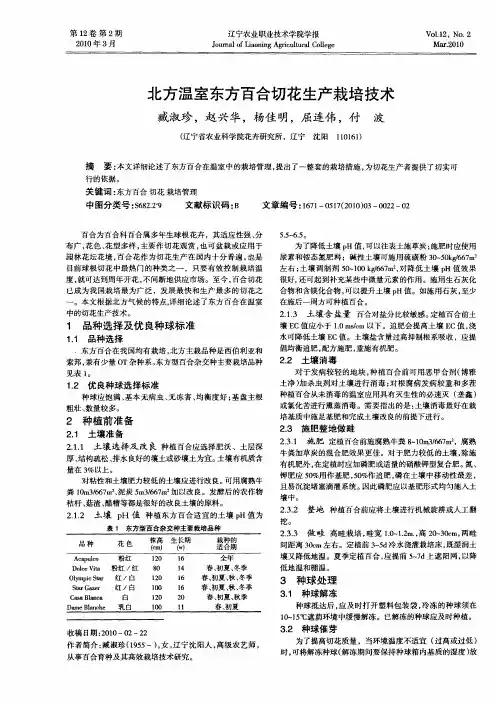 北方温室东方百合切花生产栽培技术