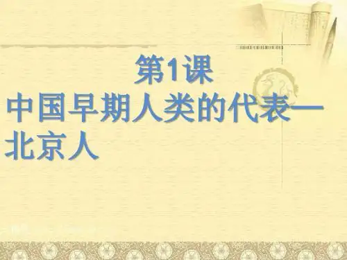 人教版(部编)七年级历史上册课件：第1课 中国早期人类的代表--北京人 共29张PPT