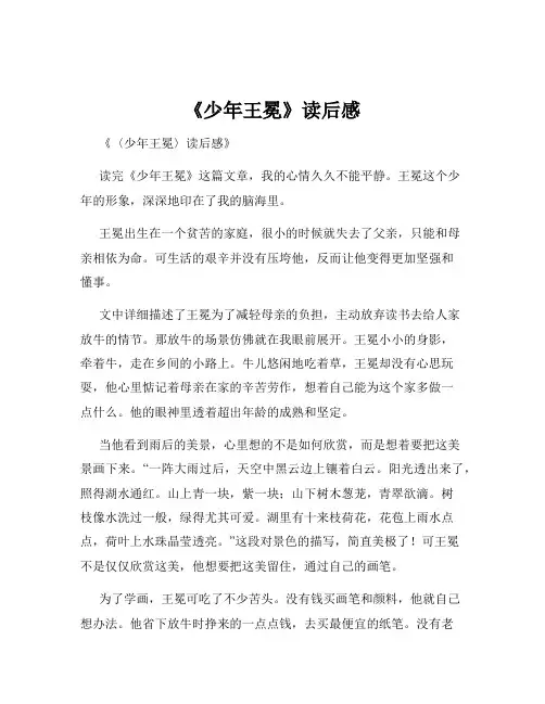 《少年王冕》读后感