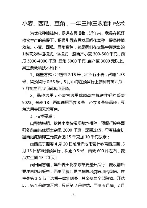小麦、西瓜、豆角,一年三种三收套种技术