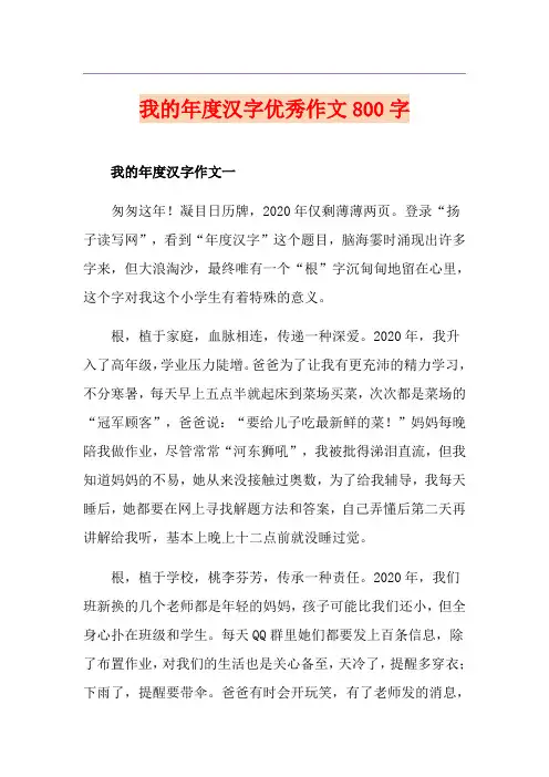 我的年度汉字优秀作文800字