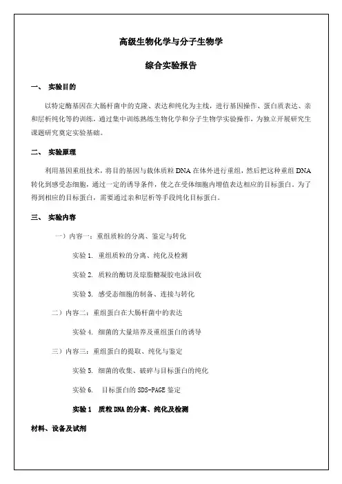 高级生物化学与分子生物学综合实验报告12p