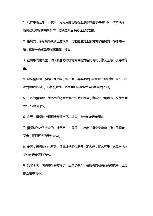 《某某》中描写梧桐树的句子
