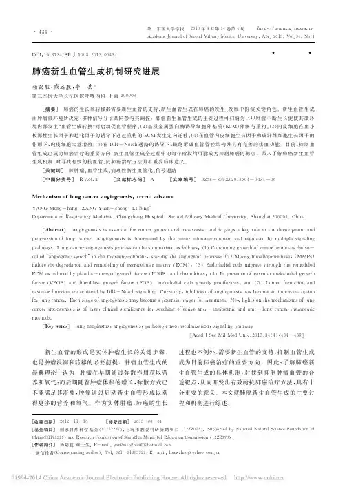 肺癌新生血管生成机制研究进展_杨勐航