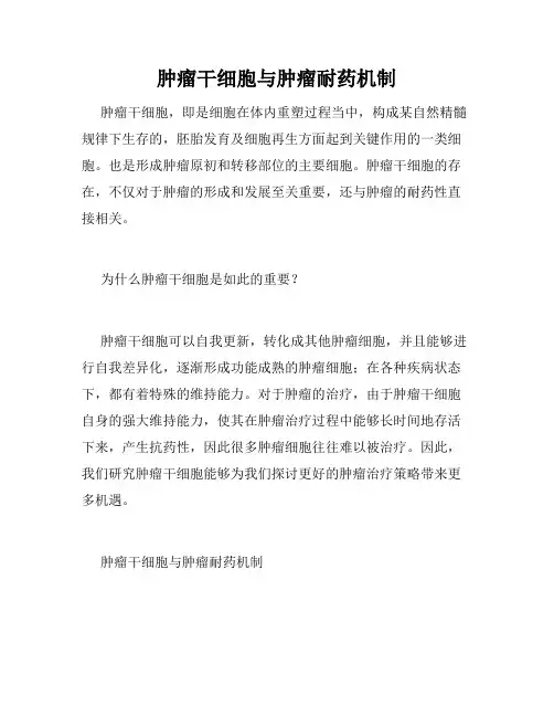肿瘤干细胞与肿瘤耐药机制