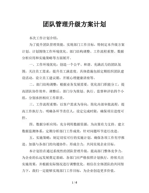 团队管理升级方案计划