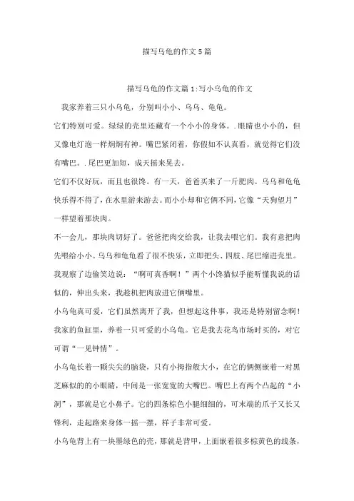 描写乌龟的作文5篇