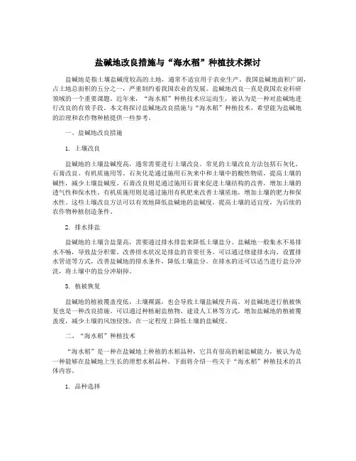 盐碱地改良措施与“海水稻”种植技术探讨