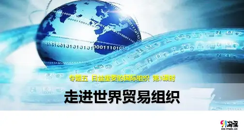 课件4：5.3 走进世界贸易组织