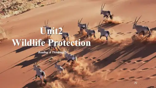 Unit2 Wildlife Protection 知识点课件-高中英语人教版(2019)必修第二册