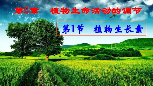 2019人教版高中生物选择性必修一课件  5.1 植物生长素