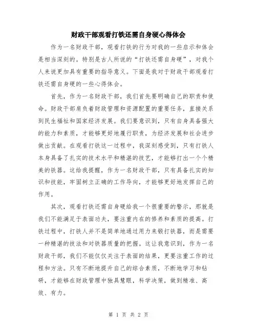 财政干部观看打铁还需自身硬心得体会