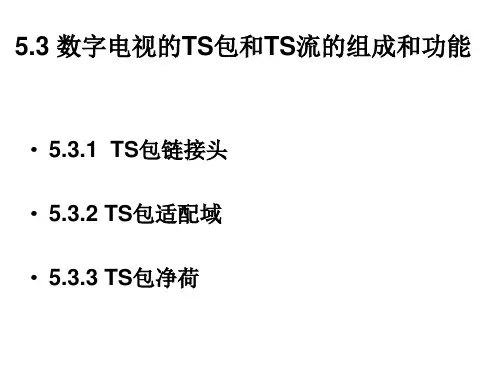数字电视的 T S包和 T S流的组成与功能ppt课件