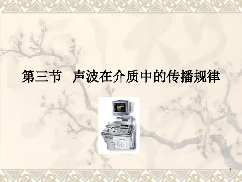 第3节 超声波在介质中的传播特性