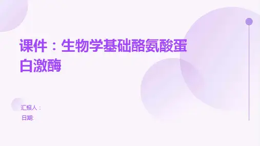 课件：生物学基础酪氨酸蛋白激酶