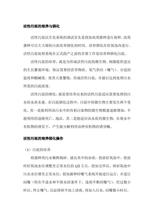 污水处理活性污泥的培养与驯化