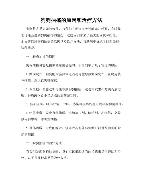 狗狗抽搐的原因和治疗方法