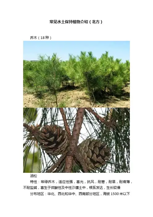 常见水土保持植物介绍（北方）