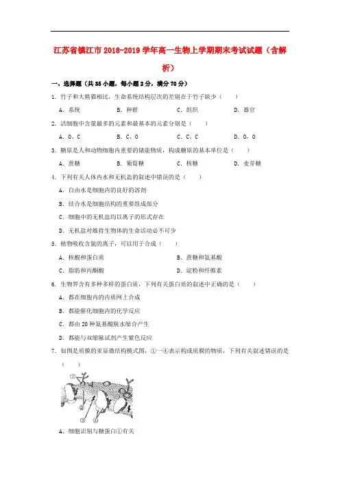 江苏省镇江市2018-2019学年高一生物上学期期末考试试题(含解析)