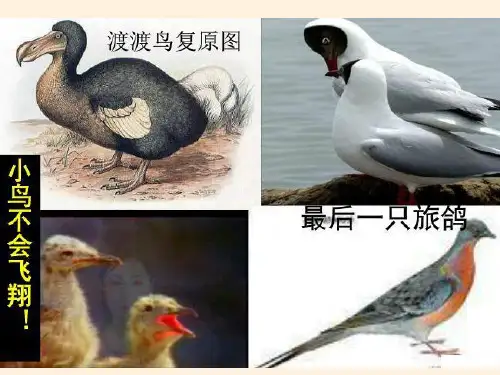 高中地理必修二课件-4.1 人类面临的主要环境问题-湘教版
