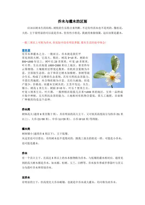 乔木与灌木的区别