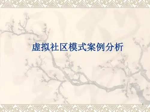 虚拟社区模式案例分析ppt课件