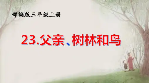  父亲、树林和鸟ppt课件