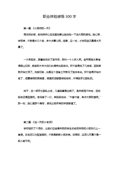 职业体验感悟300字