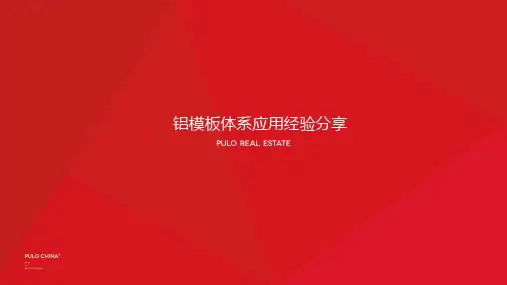 铝模体系总结2020.08.28