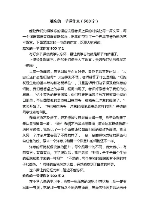 难忘的一节课作文（500字）