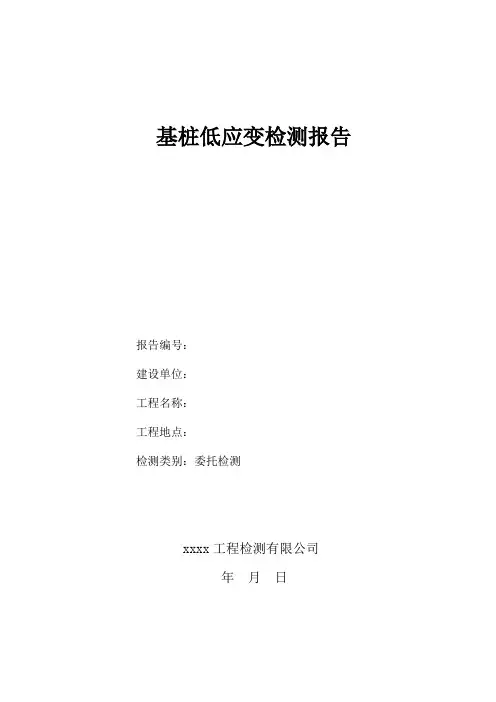 低应变报告模板