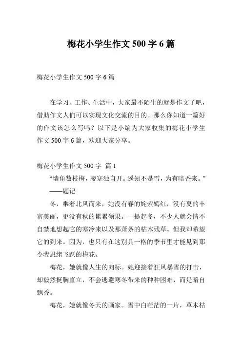 梅花小学生作文500字6篇