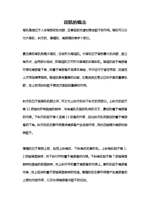背肌的概念