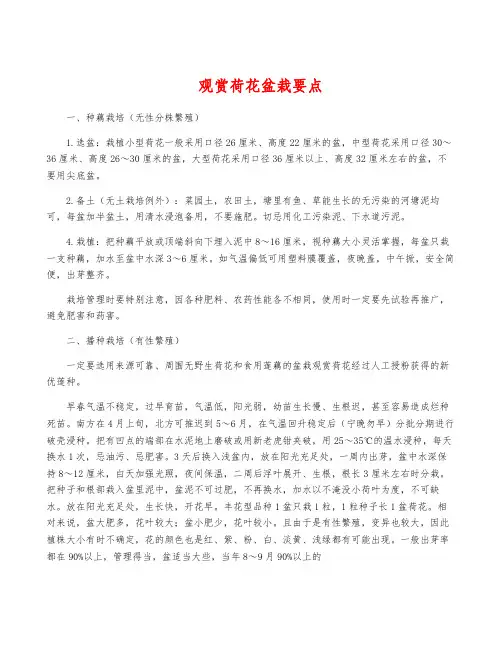 观赏荷花盆栽要点