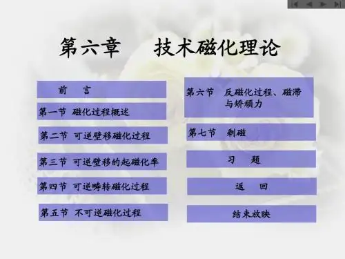 技术磁化理论