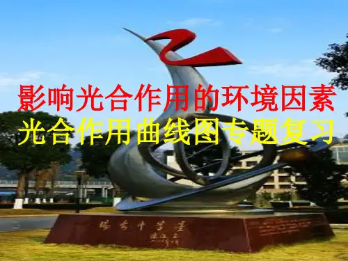 光合作用曲线图专题复习