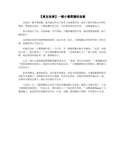 【寓言故事】一棵小葡萄腾的故事