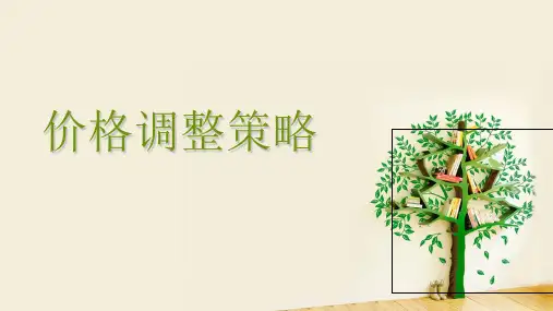 价格调整策略