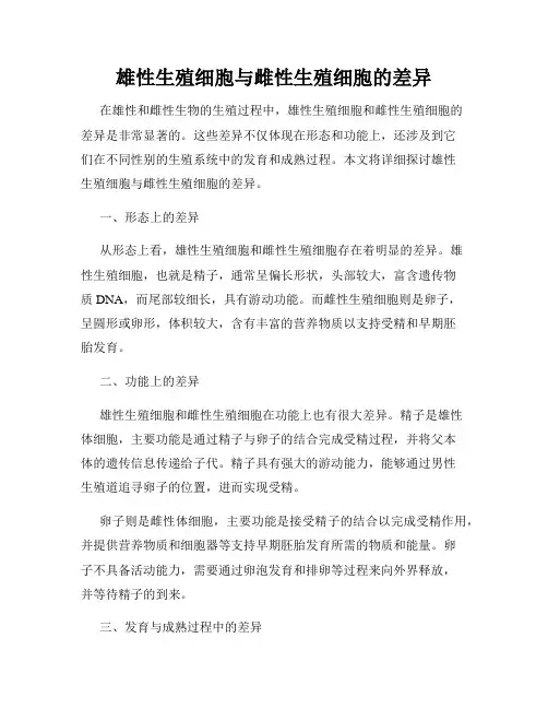 雄性生殖细胞与雌性生殖细胞的差异