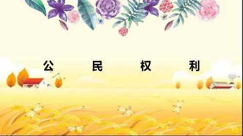 新闻侵权概述 PPT课件